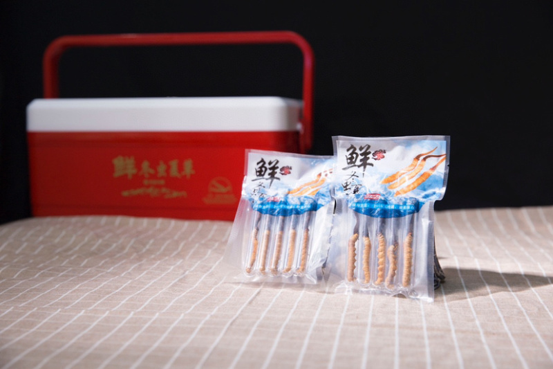 新鲜冬虫夏草西藏那曲各种规格批发100条起发顺丰包邮