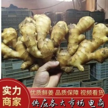 山西圆头大黄姜产地一手货源批发批发！窖藏，风干姜、水洗姜