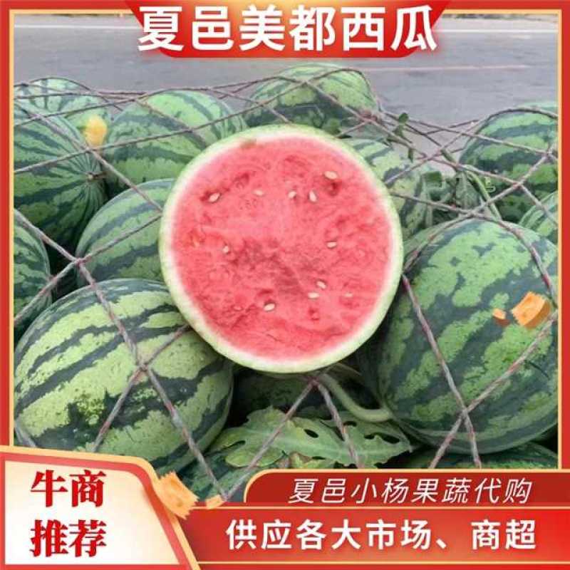 【推荐：山西精品美都西瓜大量上市中产地直发量大从