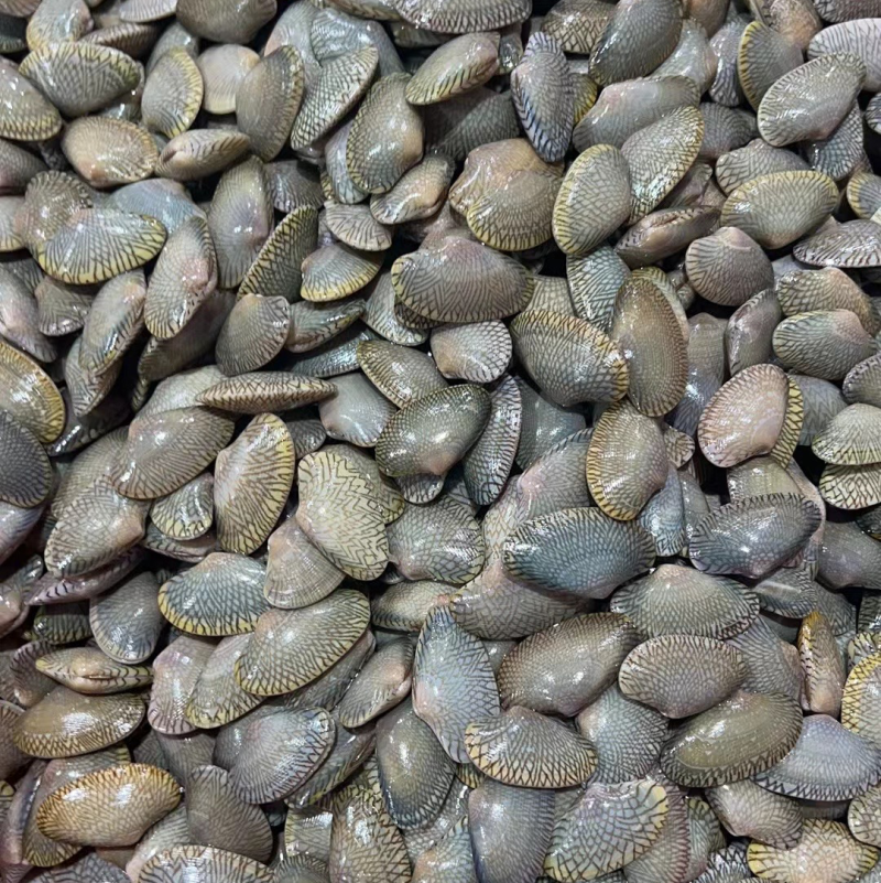 青甲
