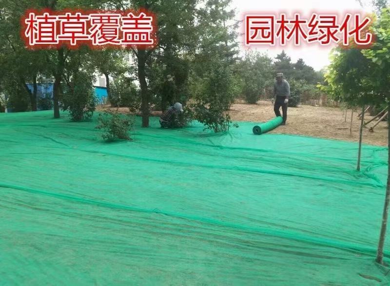 【无纺布】果蔬防寒无纺布绿化无纺布植草无纺布水稻育秧无纺布
