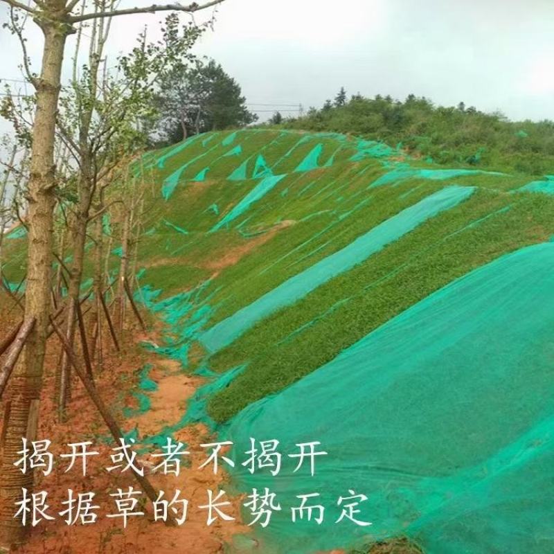 【无纺布】果蔬防寒无纺布绿化无纺布植草无纺布水稻育秧无纺布