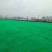 【无纺布】果蔬防寒无纺布绿化无纺布植草无纺布水稻育秧无纺布