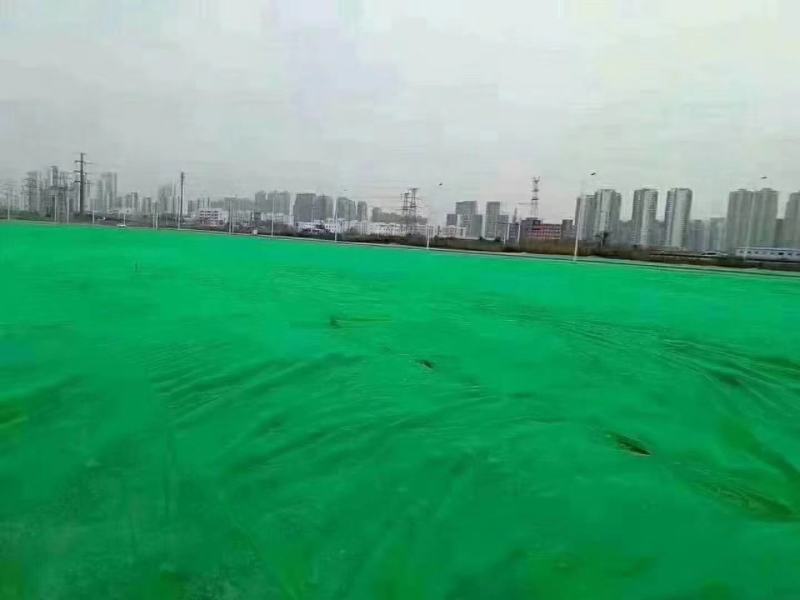 【无纺布】果蔬防寒无纺布绿化无纺布植草无纺布水稻育秧无纺布