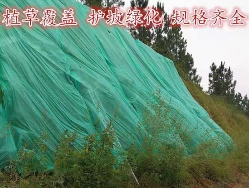 【无纺布】果蔬防寒无纺布绿化无纺布植草无纺布水稻育秧无纺布