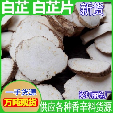新货白芷白芷片香料调料干货白芷中药材白芷可磨粉白芷
