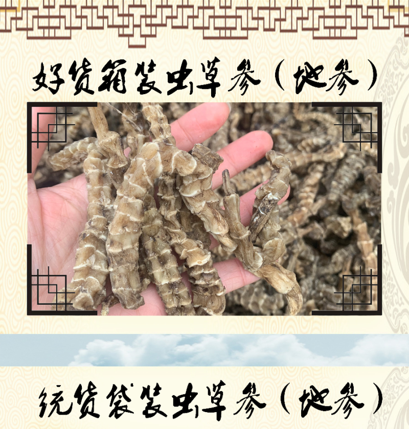 批发地参货煲汤料泡酒料粗条虫草参地参跑江湖地摊展销会