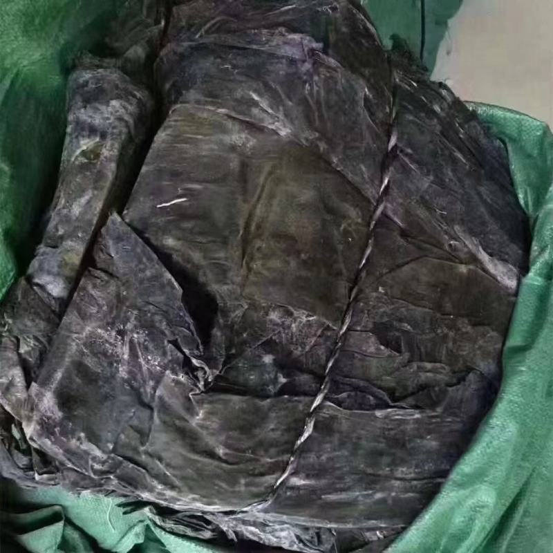 海带皮，福建深海海带保质保量价格便宜地摊批发