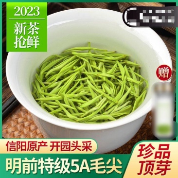 [毛尖绿茶]2023新茶毛尖绿茶高山雨前嫩芽正宗手工春