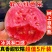 广西红心白心芭乐番石榴芭乐支持全国电商各大平台一件代发