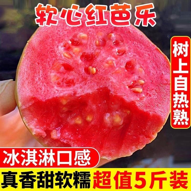 广西红心白心芭乐番石榴芭乐支持全国电商各大平台一件代发