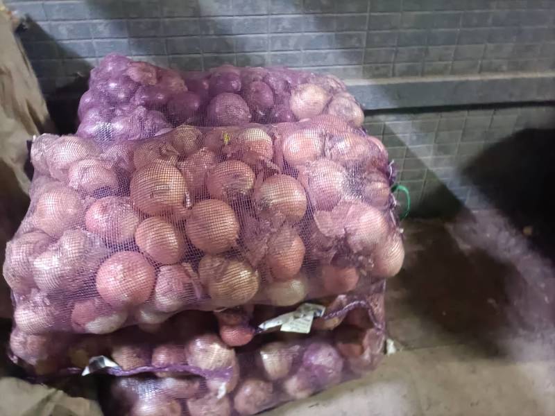 洋葱出口办理