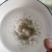 黄骨鱼水花渔场直供规格齐全欢迎来电咨询