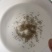 黄骨鱼水花渔场直供规格齐全欢迎来电咨询