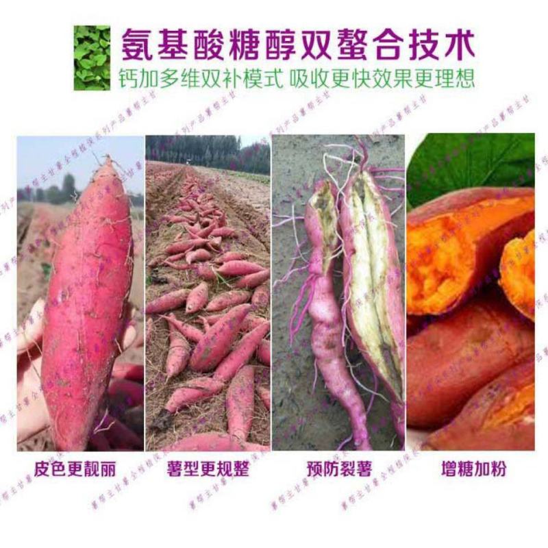 薯帮主美薯宝双熬合钙肥防裂美薯叶面肥滴灌肥
