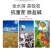 糖醇锌叶面肥，叶绿增厚，色泽鲜靓吸收好增加产量提高品质