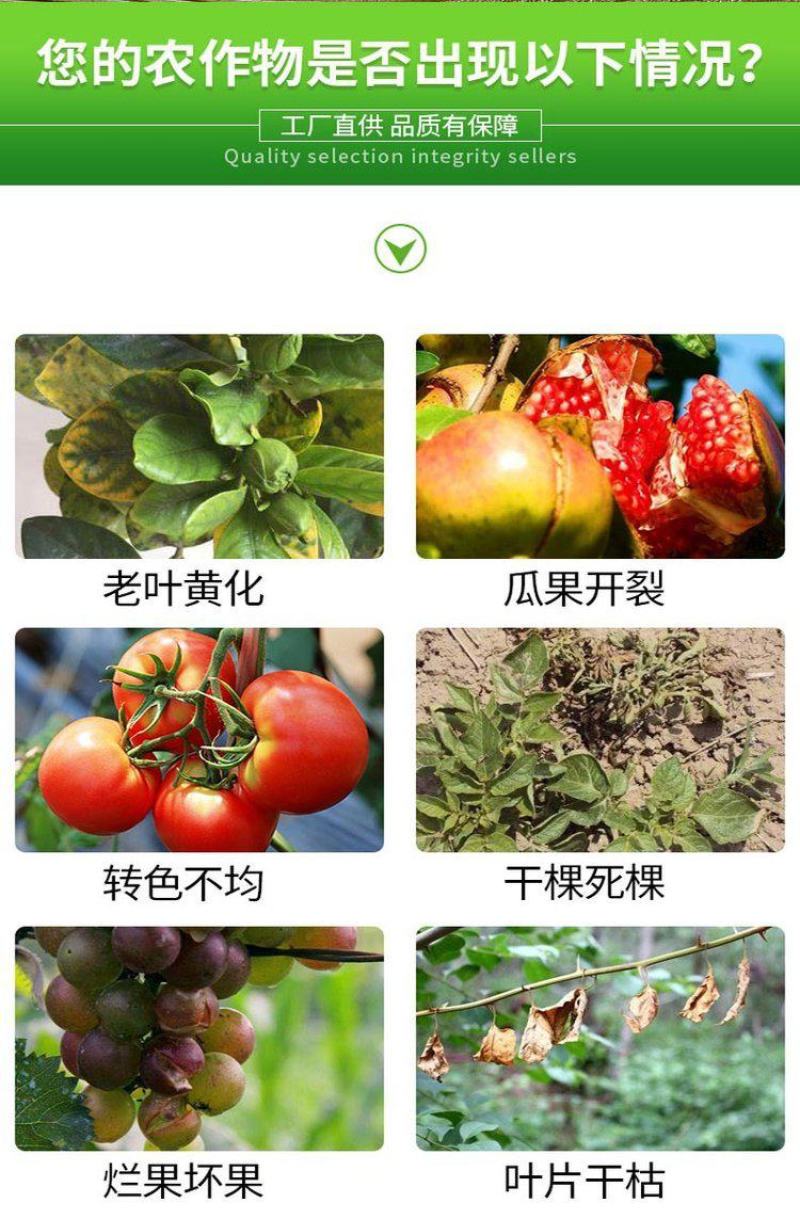 糖醇锌叶面肥，叶绿增厚，色泽鲜靓吸收好增加产量提高品质