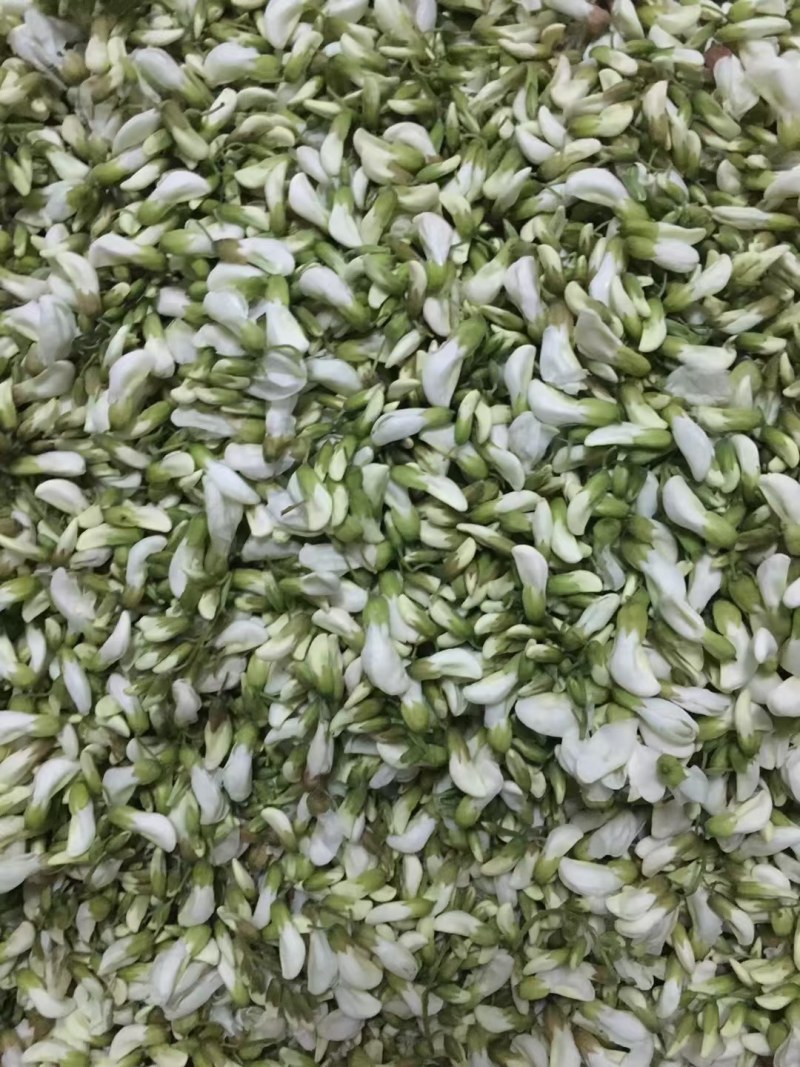 精品洋槐花大量有货