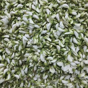 精品洋槐花大量有货