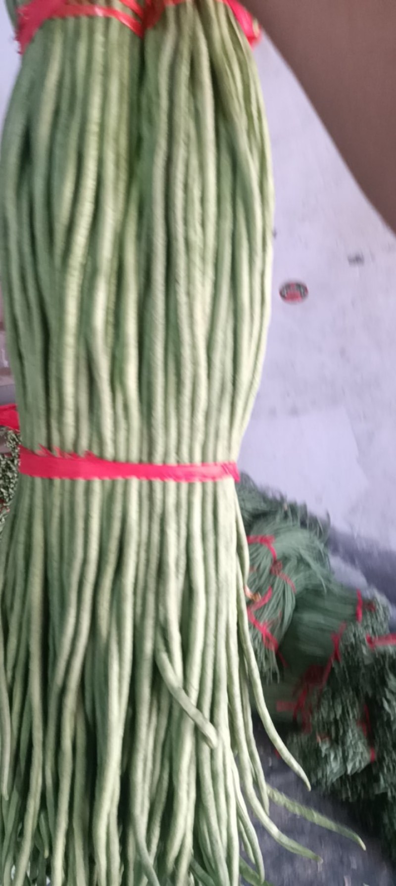 精品长豆角青条