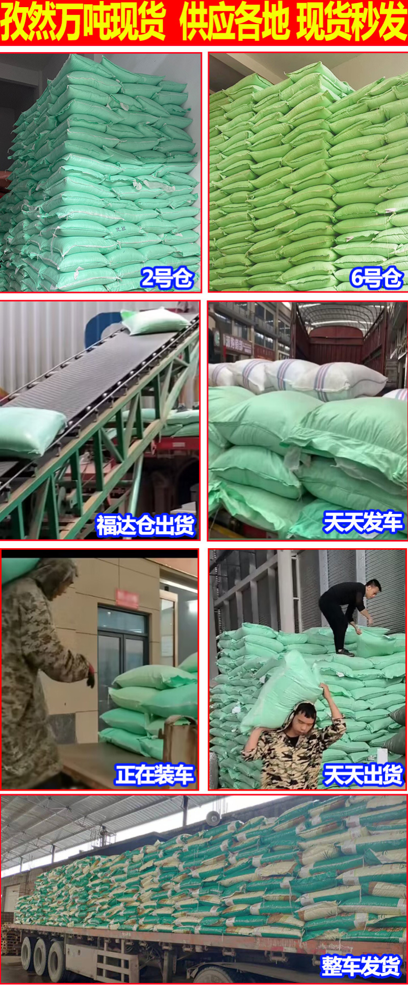 香砂沙仁金砂仁四川川砂仁炖肉卤菜调料香料大全香辛料批发
