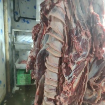 新鲜牛肉