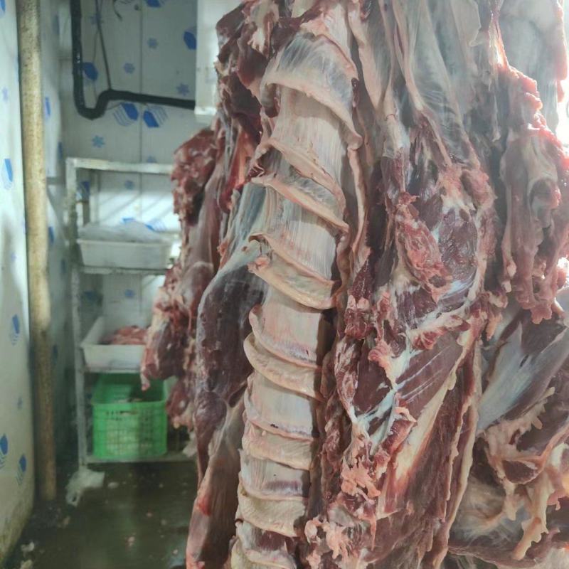 新鲜牛肉