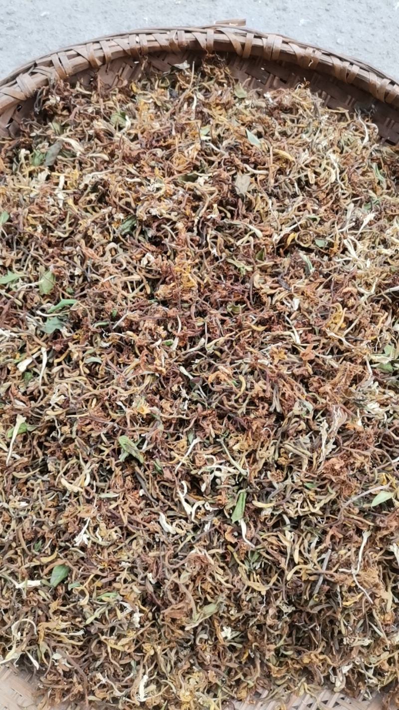 麻城大别山纯野生金银花