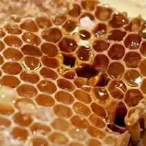 自家养殖正宗土蜂蜜无任何添加剂养颜美容品质保证包邮