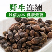 连翘中药材连翘正品连翘野生连翘连翘茶青翘新货连翘山