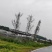 200亩香椿树下养鸡土地招租