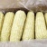 黏玉米