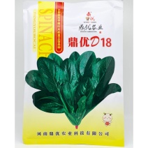 鼎优D18菠菜种子抗病黑圆叶直立红根菠菜籽250克原装