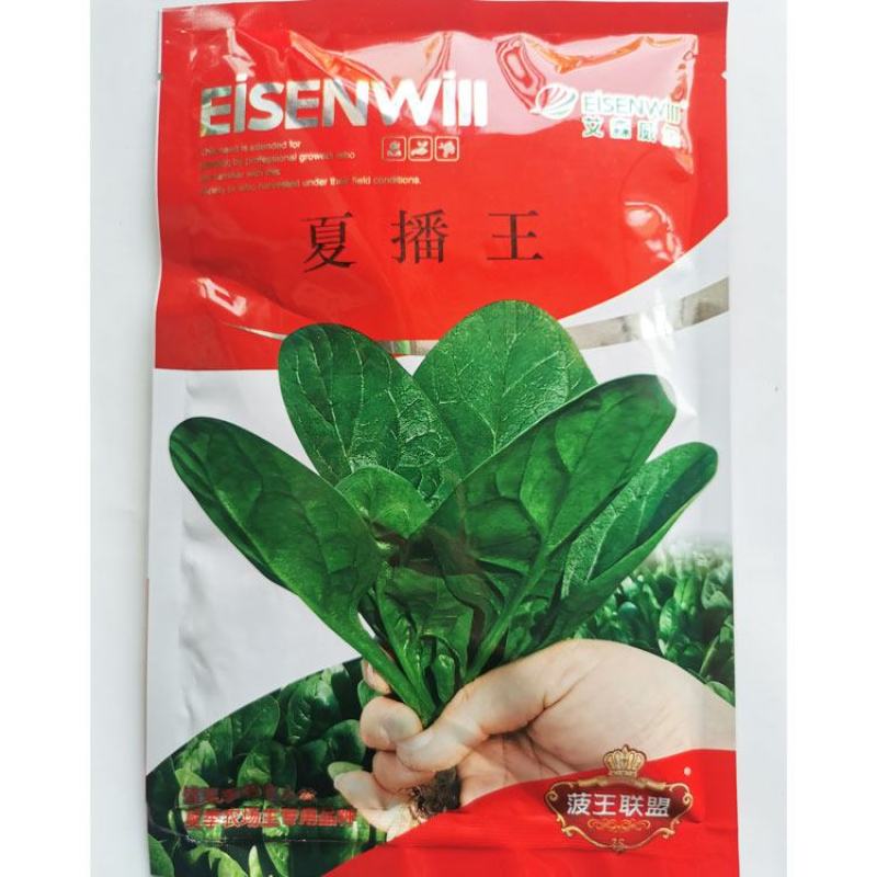 夏播王耐热菠菜种子半圆叶耐捆扎直立抗病菠菜种子250克