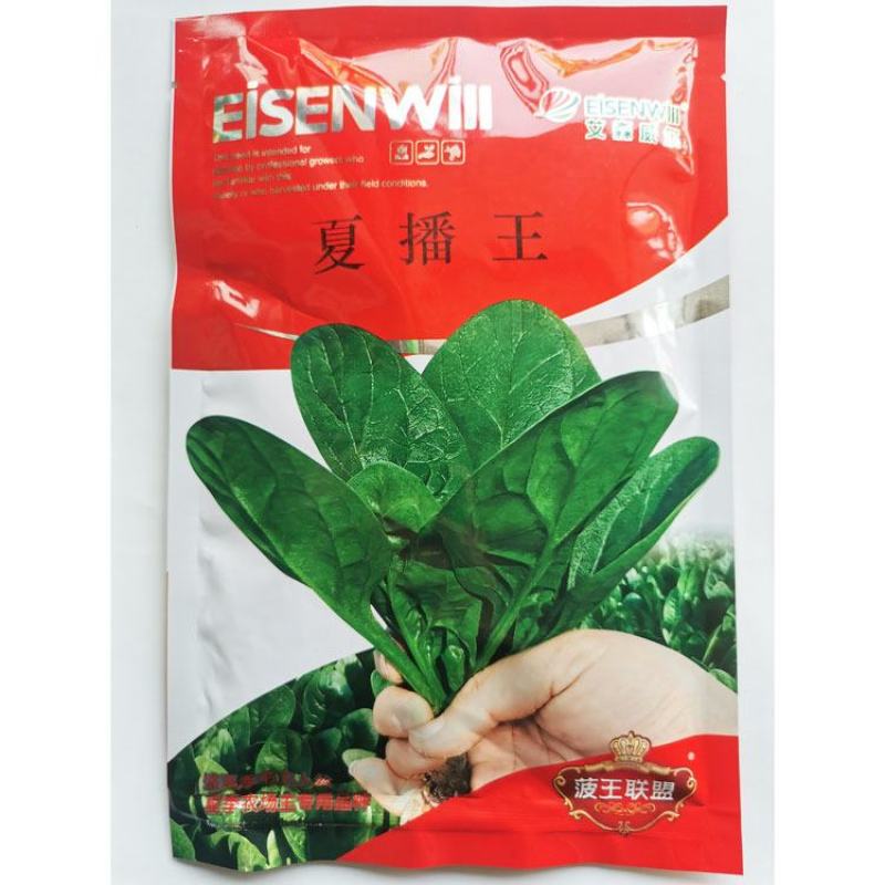 夏播王耐热菠菜种子半圆叶耐捆扎直立抗病菠菜种子250克