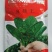 夏播王耐热菠菜种子半圆叶耐捆扎直立抗病菠菜种子250克