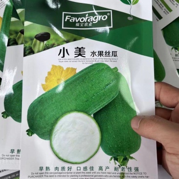 水果丝瓜种子小美早熟瓜码密瓜型整齐产量高品质好