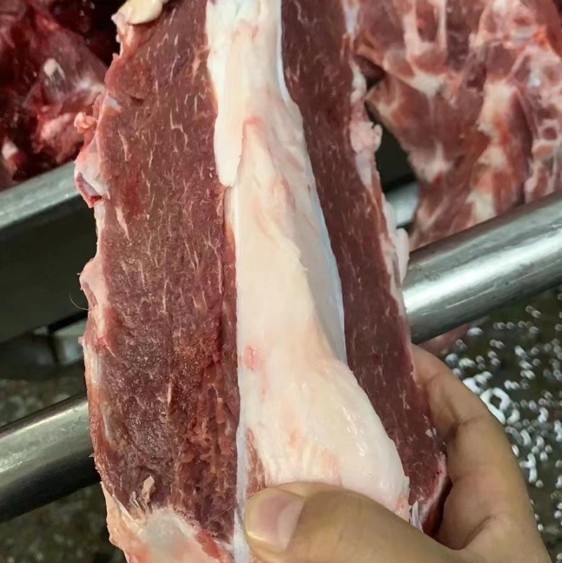 羔羊加肉款羊蝎子，肉含量满满