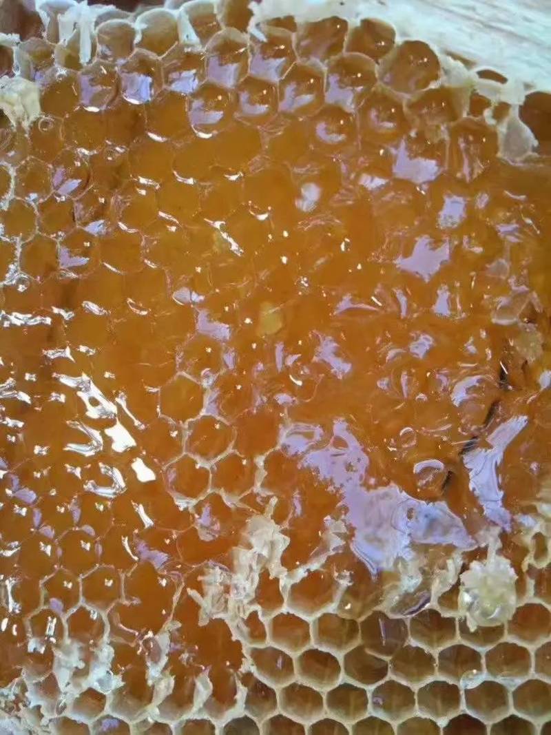蜂蜜茂名荔枝蜜纯荔枝蜂蜜没有任何添加糖，不喂糖