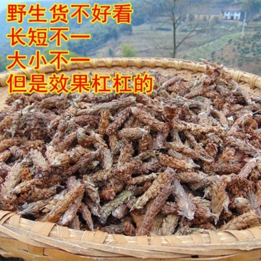 【夏枯草】野生夏枯球无硫夏枯草500克袋装多规格可选包邮