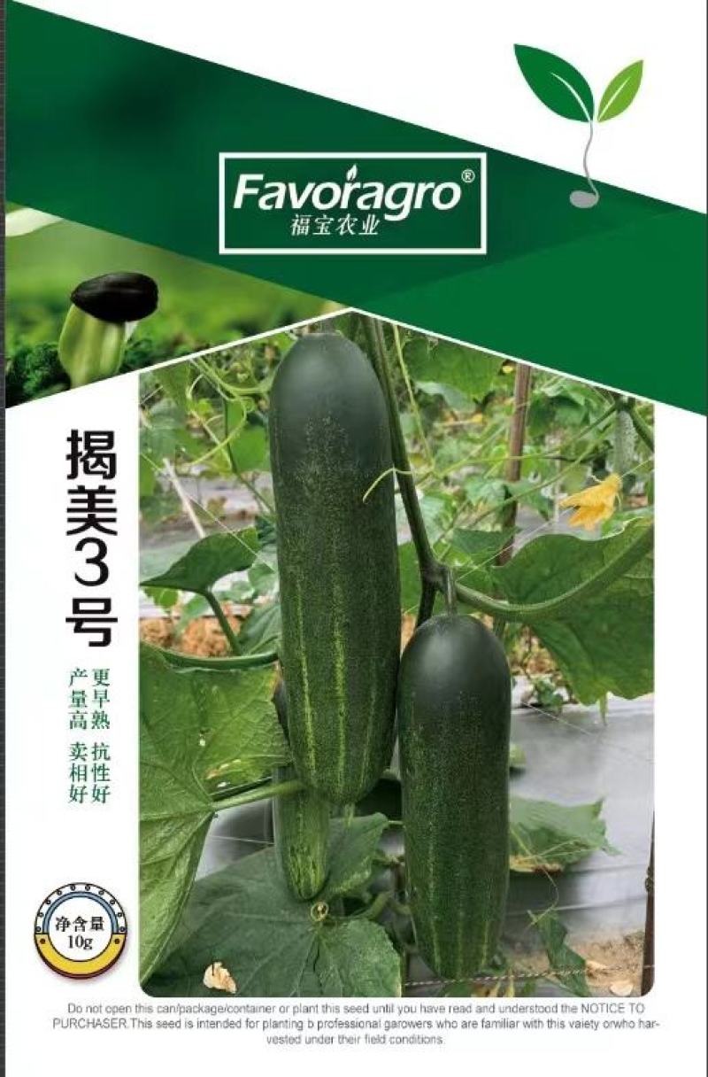 黄瓜种子揭美3号早熟强雌皮黑绿瓜条顺直甜脆品质好