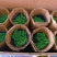 中华景天基地农户种植直销，提供代发货
