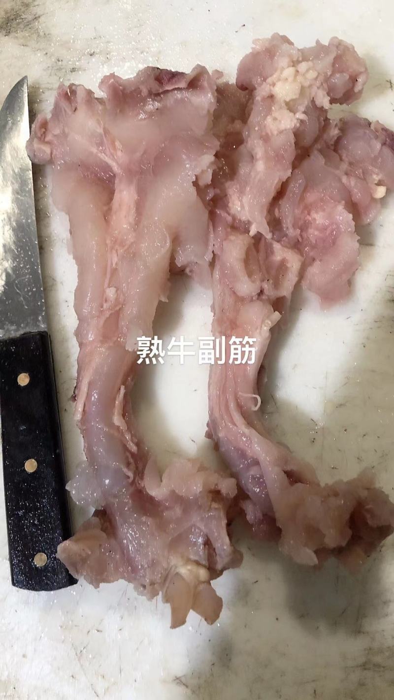 【熟牛蹄筋】牛蹄筋，熟牛蹄副筋牛副筋，厂家直发