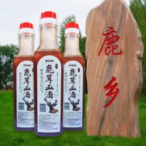 鹿茸血酒500ml