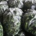 301泡椒产地大量上市中，货量稳定，出货量稳定，欢迎选购