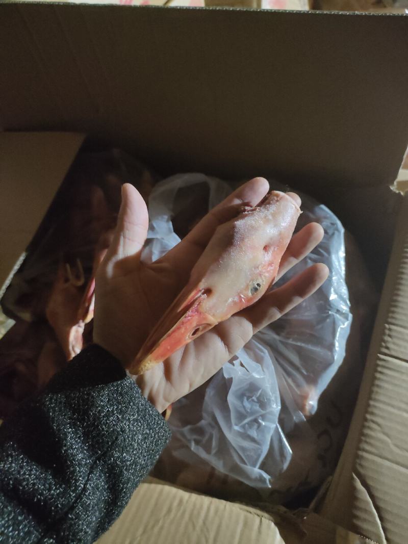 鸭头烤鸭头填鸭头8头9头梨花鸭头卤货加工厂专用