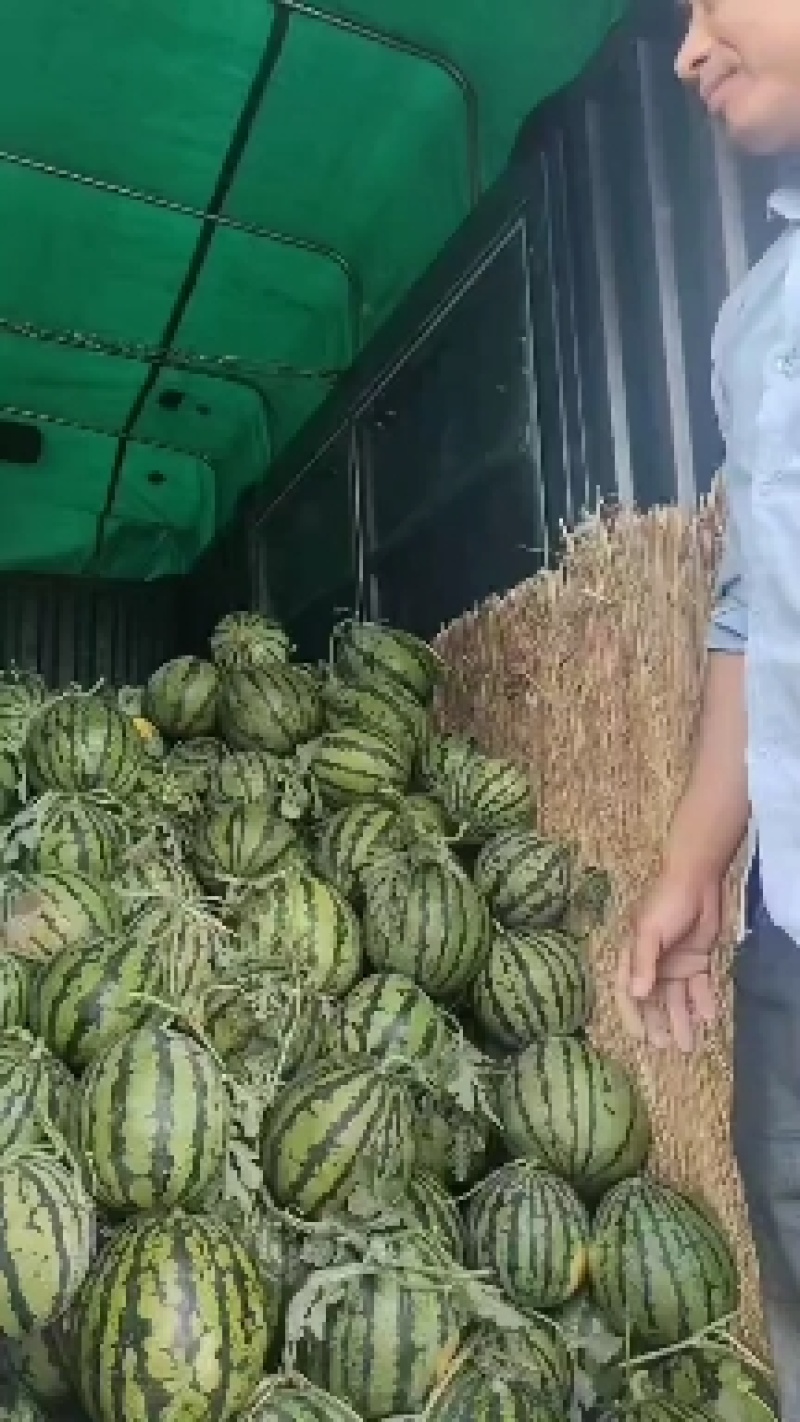 美都，精品，通货，次瓜都有，有需要的联系！