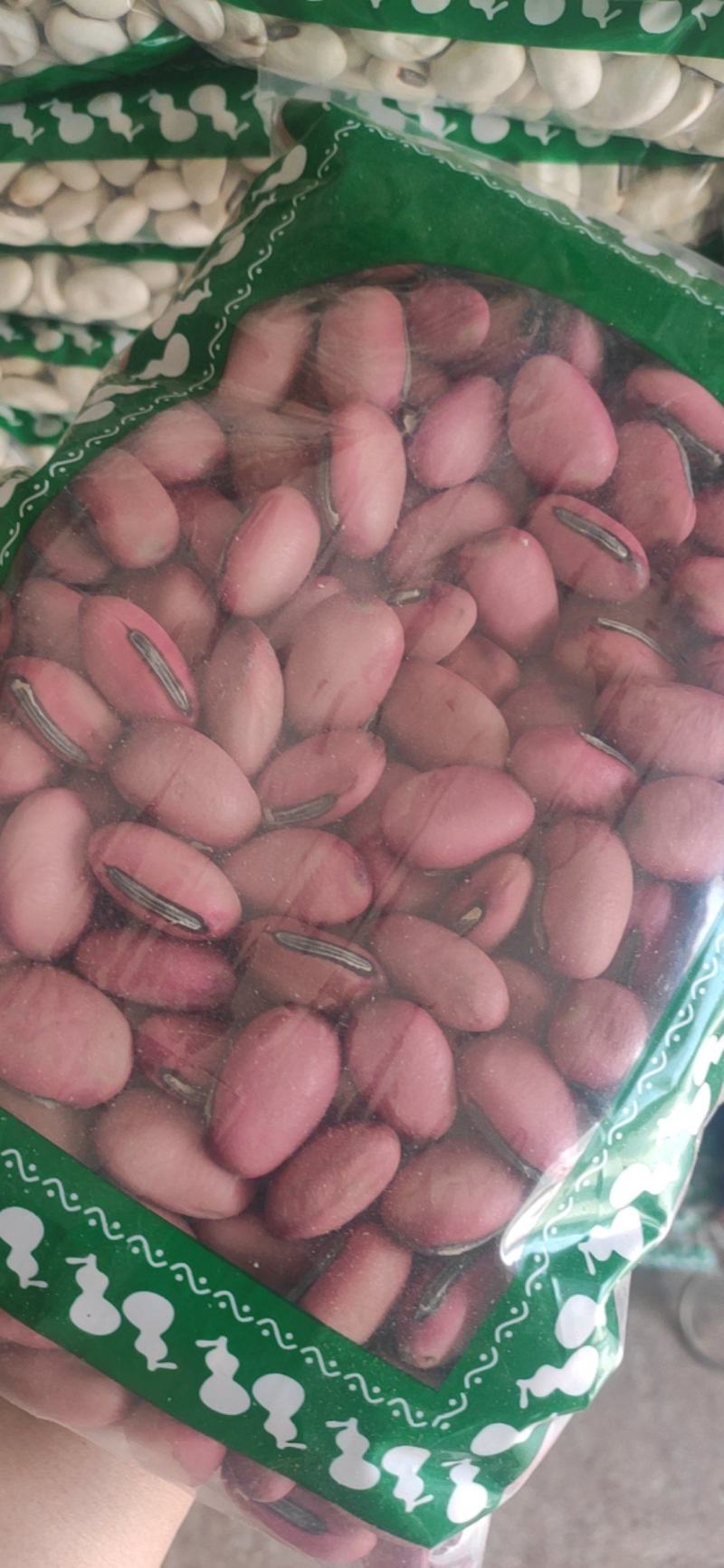 红刀豆冷背中药材常年经营各种中药材