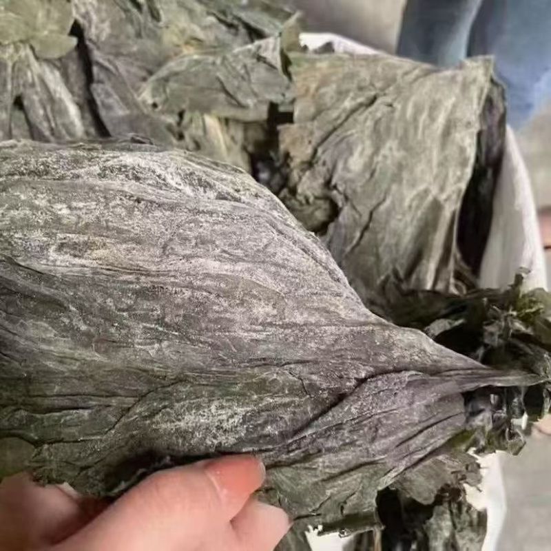 新货海带皮，无沙，一件12斤，40斤规格，易煮软，无夹层