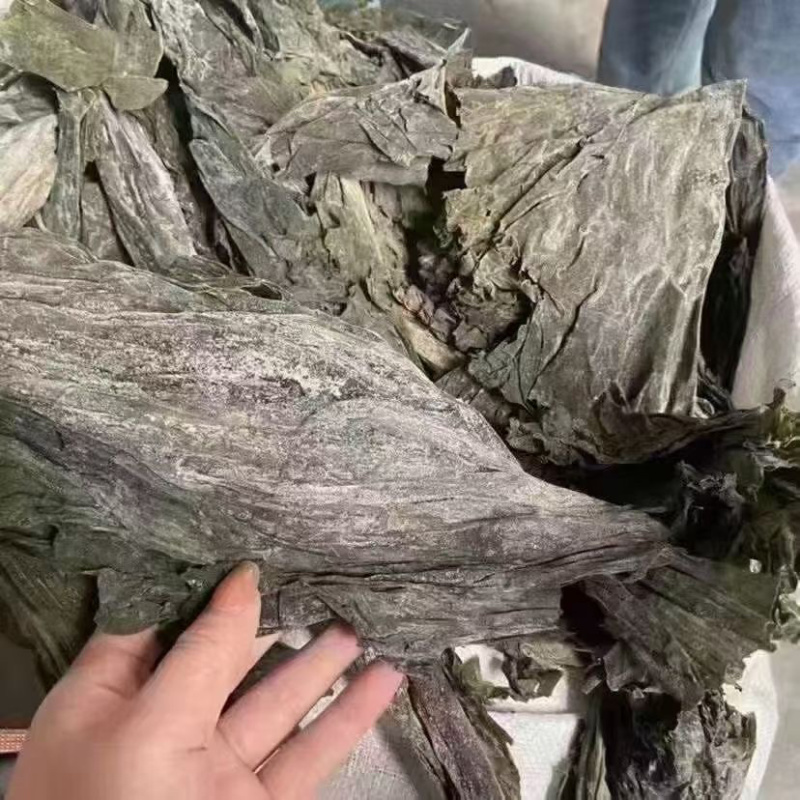 新货海带皮，无沙，一件12斤，40斤规格，易煮软，无夹层